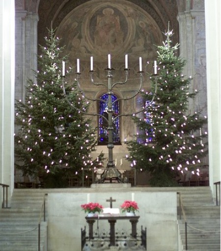 Weihnachtsbäume im Braunschweiger Dom